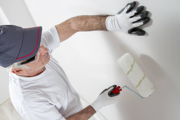 Best Fire-Damaged Drywall Repair  in The Villages, FL