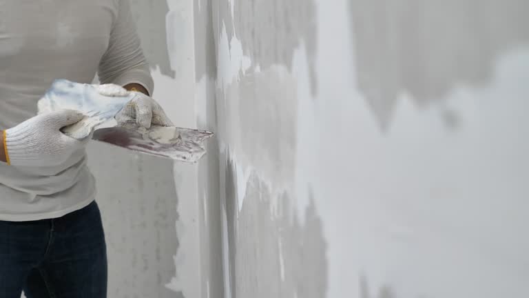 Best Drywall Sanding and Smoothing  in The Villages, FL